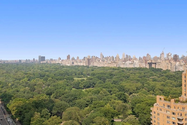 301 W 57th St Unit 27A, New York City, NY 10019 - bird's eye view of city skyline