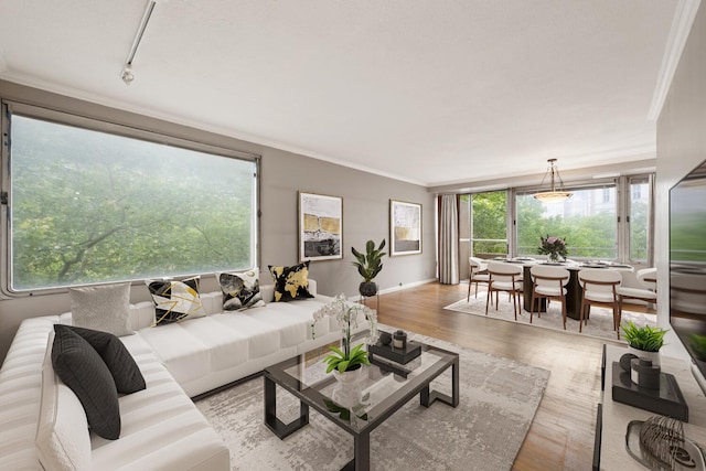180 Park Row Unit 5B, New York City, NY 10038 - living room featuring ornamental molding, wood finished floors, and healthy amount of natural light