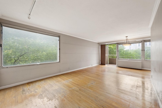 180 Park Row Unit 5B, New York City, NY 10038 - unfurnished room with ornamental molding and wood-type flooring
