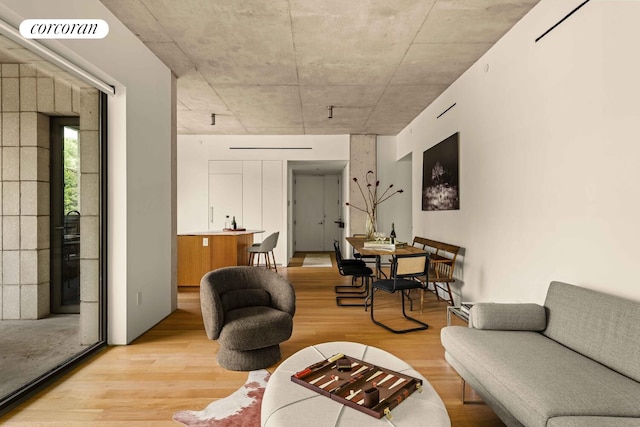 450 Warren St Unit 2C, New York City, NY 11217 - living area with light wood finished floors