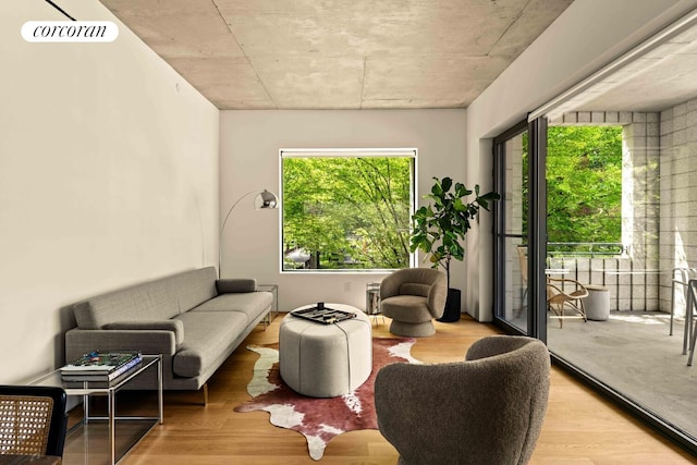 450 Warren St Unit 2C, New York City, NY 11217 - living room with wood finished floors and healthy amount of natural light
