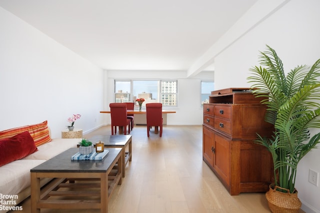 445 E 86th St Unit 12G, New York City, NY 10028 - living room with light wood-style floors and baseboards