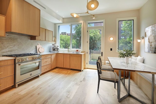 824A Quincy St, New York City, NY 11221 - kitchen with high end stainless steel range, light wood-style floors, healthy amount of natural light, and light countertops
