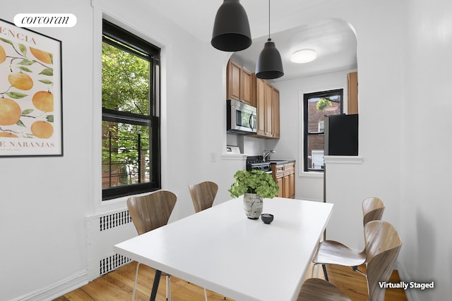 1485 E 16th St Unit 1J, New York City, NY 11230 - dining area featuring radiator, light wood-style flooring, and arched walkways