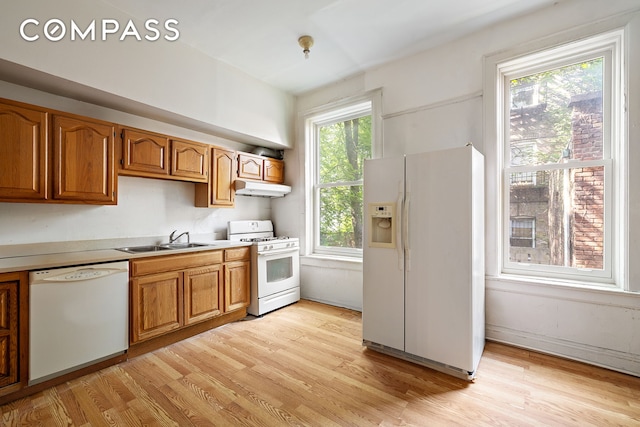 1387 Union St, New York City, NY 11213 - kitchen with white appliances, under cabinet range hood, light wood-style flooring, and light countertops