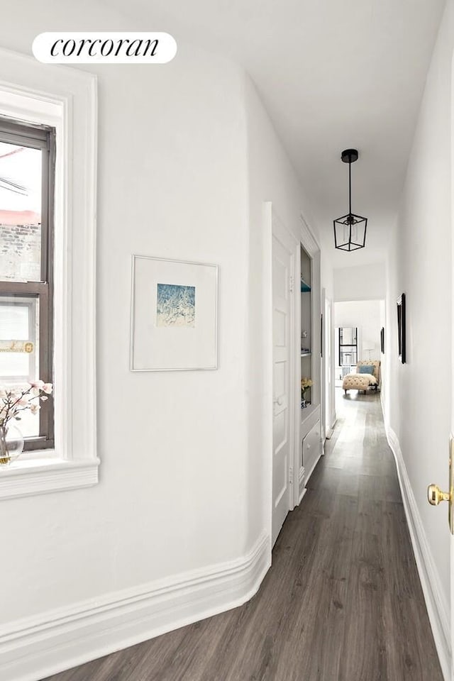 454 15th St Unit 4L, New York City, NY 11215 - corridor with dark wood finished floors and healthy amount of natural light