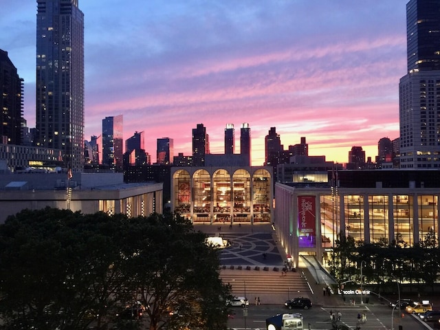 20 W 64th St Unit 11U, New York City, NY 10023 - view of city skyline