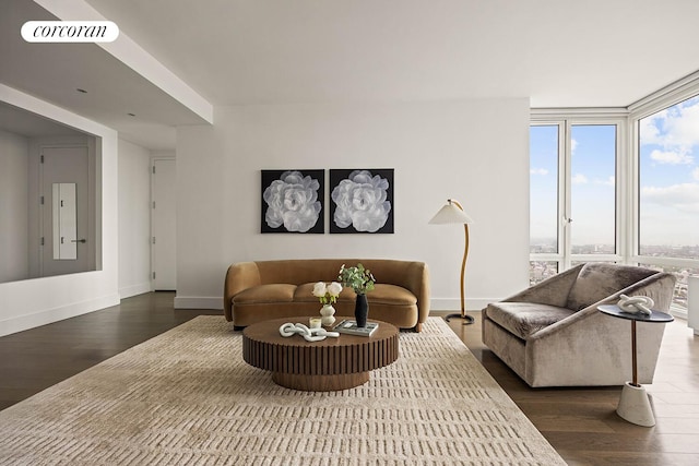 388 Bridge St Unit 35Ab, New York City, NY 11201 - living room with dark wood-type flooring and expansive windows