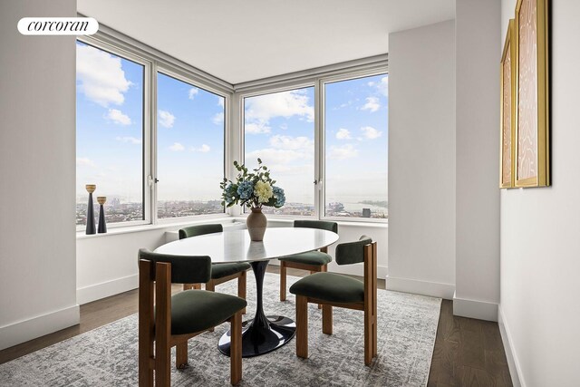 388 Bridge St Unit 35Ab, New York City, NY 11201 - dining room featuring baseboards and dark wood-style floors
