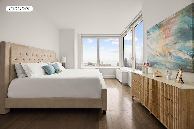 388 Bridge St Unit 35Ab, New York City, NY 11201 - bedroom featuring dark wood-type flooring and radiator heating unit