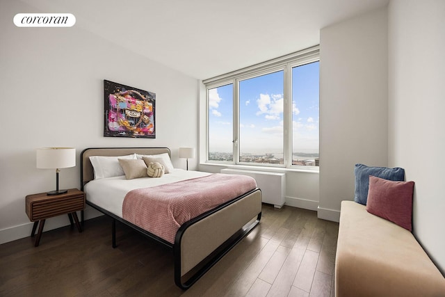 388 Bridge St Unit 35Ab, New York City, NY 11201 - bedroom with wood finished floors and baseboards