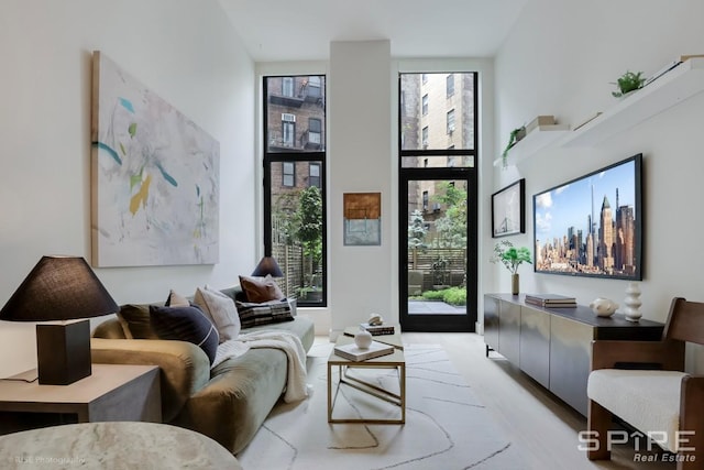 111 Montgomery St Unit 1N, New York City, NY 11225 - living area featuring a towering ceiling
