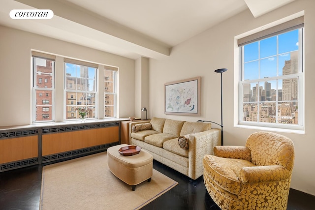 28 E 70th St Unit Ph1, New York City, NY 10021 - living area with plenty of natural light, a view of skyline, radiator heating unit, and dark wood-type flooring