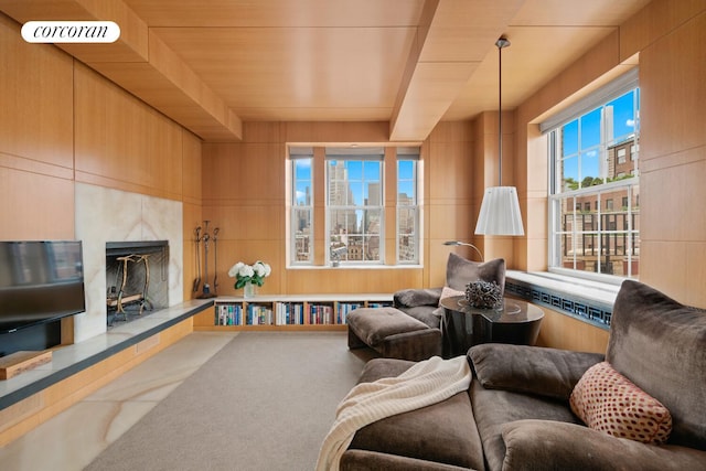 28 E 70th St Unit Ph1, New York City, NY 10021 - living area with carpet floors and a fireplace with raised hearth