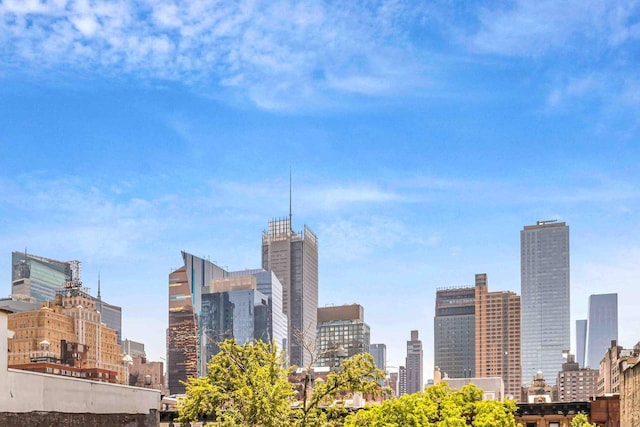 350 W 48th St Unit 4E, New York City, NY 10036 - view of city skyline