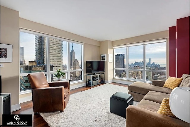 350 W 42nd St Unit 46E, New York City, NY 10036 - living area featuring wood finished floors and baseboards