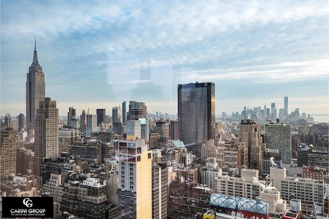 350 W 42nd St Unit 46E, New York City, NY 10036 - view of city skyline