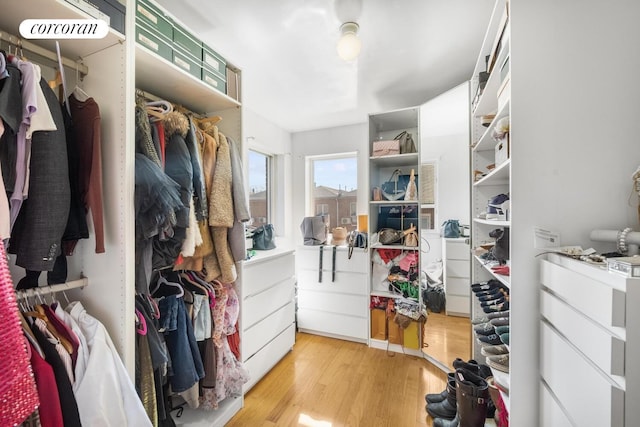 57 Bay 31st St Unit 3A, New York City, NY 11214 - spacious closet featuring light wood-style flooring