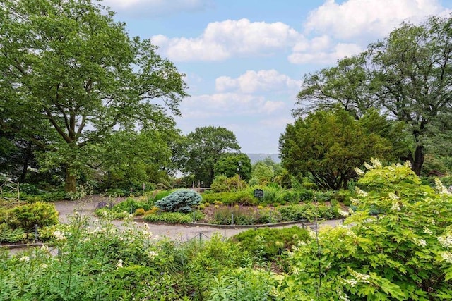 350 Cabrini Blvd Unit 1A, New York City, NY 10040 - view of yard