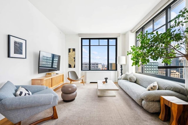 110 Charlton St Unit 27E, New York City, NY 10014 - view of living room