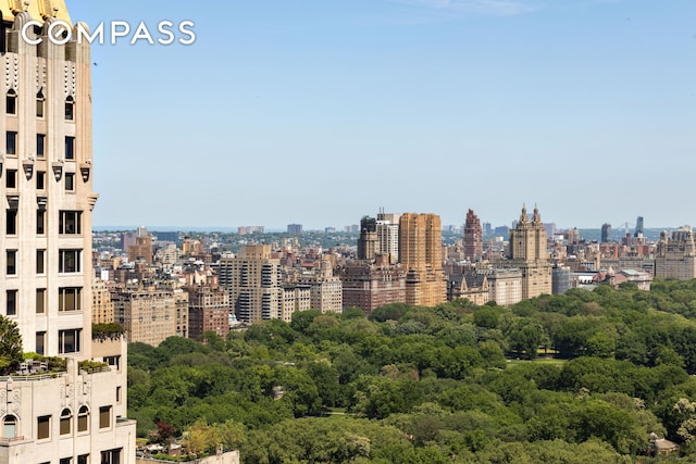 58 W 58th St Unit 19A, New York City, NY 10019 - view of city