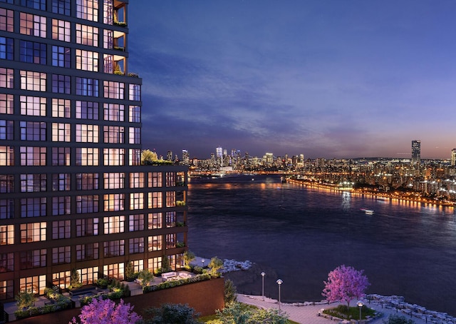 29 Huron St Unit 7Fe, New York City, NY 11222 - water view featuring nearby urban area