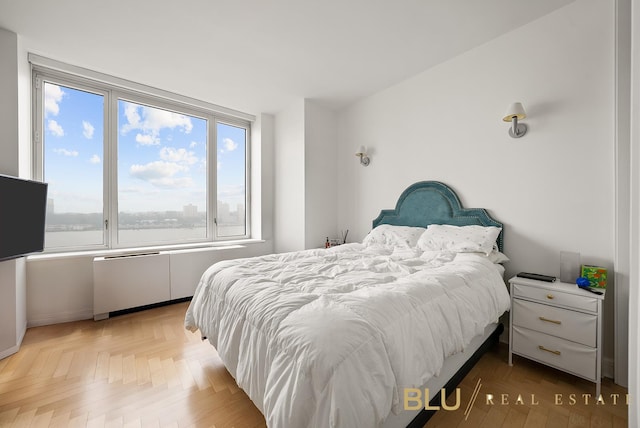 220 Riverside Blvd Unit 17-M, New York City, NY 10069 - view of bedroom