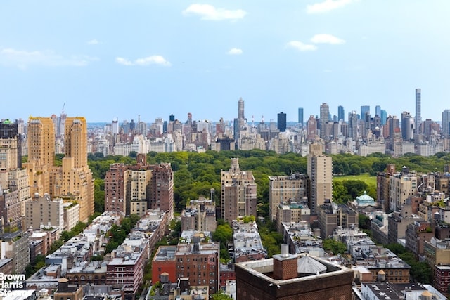 200 Amsterdam Ave Unit 32B, New York City, NY 10023 - view of city skyline