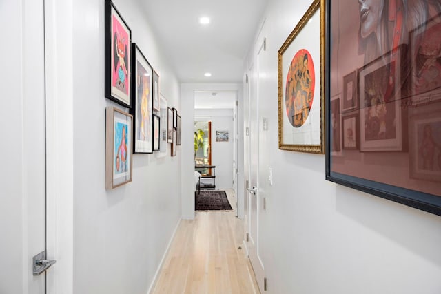 210 Jackson St Unit 2, New York City, NY 11211 - hall featuring recessed lighting and light wood-type flooring