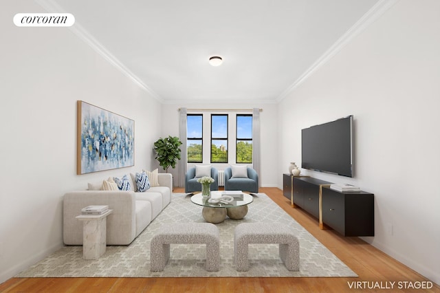 117-14 Union Tpke Unit Ce2, New York City, NY 11415 - living area featuring ornamental molding and light wood-style flooring