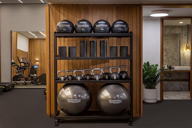 25 W 28th St Unit Ph40C, New York City, NY 10001 - exercise room with wood walls