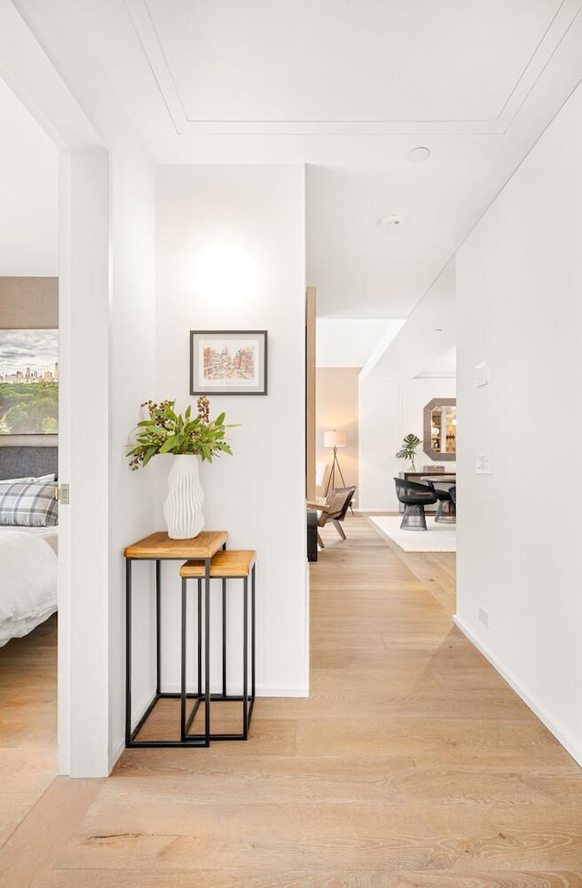 345 W 14th St Unit 5A, New York City, NY 10014 - corridor featuring light wood finished floors