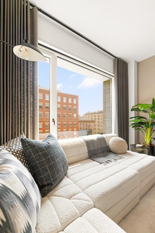 345 W 14th St Unit 5A, New York City, NY 10014 - view of living area