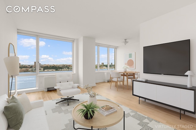 100 Riverside Blvd Unit 29C, New York City, NY 10069 - living area with light wood-type flooring