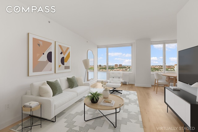 100 Riverside Blvd Unit 29C, New York City, NY 10069 - living room with light wood finished floors
