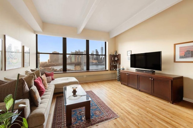 1 Main St Unit 10K, New York City, NY 11201 - living room featuring beamed ceiling and light wood-type flooring