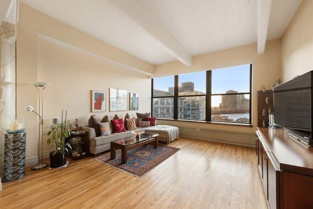1 Main St Unit 10K, New York City, NY 11201 - living room featuring beam ceiling and light wood finished floors