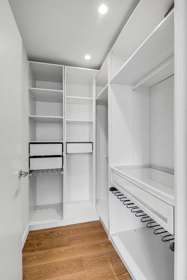 287 E Houston St Unit 4B, New York City, NY 10002 - spacious closet with light wood-style flooring
