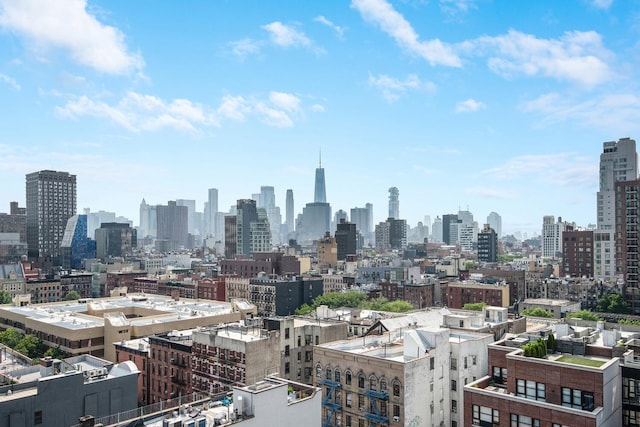 287 E Houston St Unit 4B, New York City, NY 10002 - skyline view