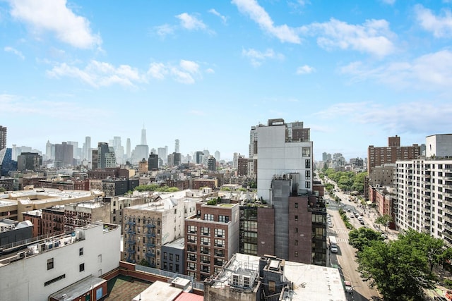 287 E Houston St Unit 4B, New York City, NY 10002 - skyline view