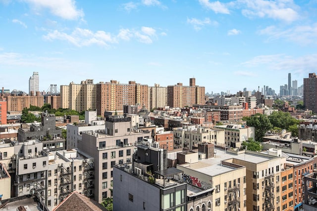 287 E Houston St Unit 4B, New York City, NY 10002 - view of city skyline