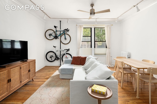 328 Sterling Pl Unit 1A, New York City, NY 11238 - living room featuring track lighting, light wood-style floors, ceiling fan, and crown molding
