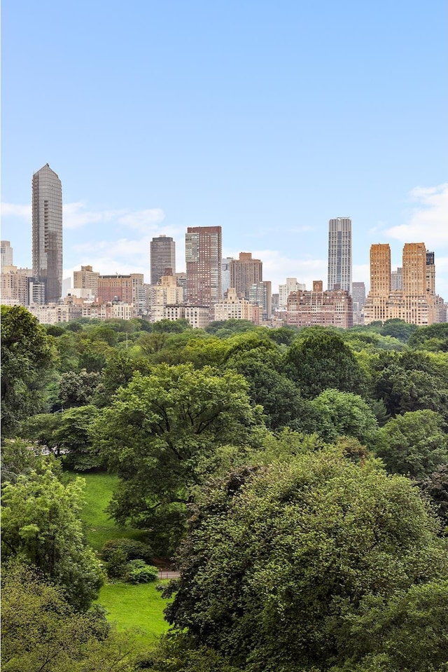 923 5th Ave Unit 12E/11, New York City, NY 10021 - skyline view