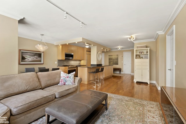 357 E 57th St Unit 3D, New York City, NY 10022 - living room with light wood-type flooring, ornamental molding, a chandelier, and rail lighting