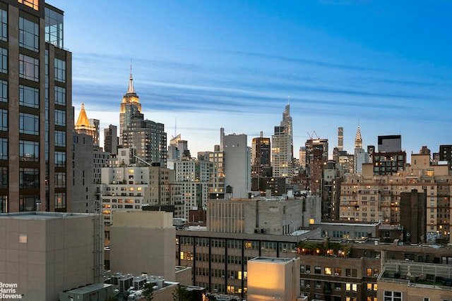 242 E 19th St Unit 13E, New York City, NY 10003 - skyline view