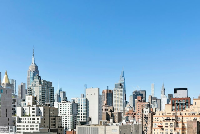 242 E 19th St Unit 13E, New York City, NY 10003 - skyline view