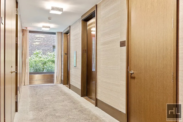 301 E 50th St Unit 5B, New York City, NY 10022 - hall featuring carpet floors and elevator