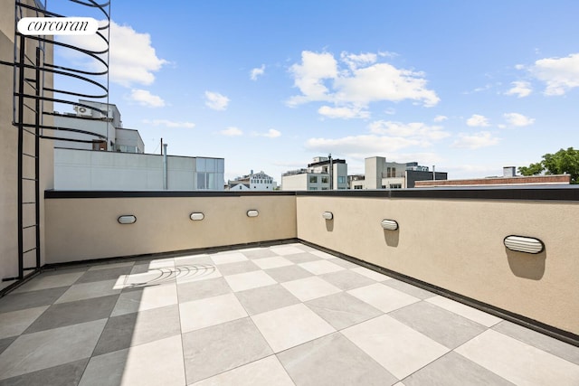 966 Bergen St, New York City, NY 11216 - view of patio