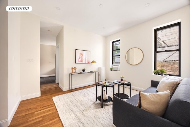 41 Prospect Park SW Unit 1C, New York City, NY 11215 - living area with light wood finished floors and radiator heating unit