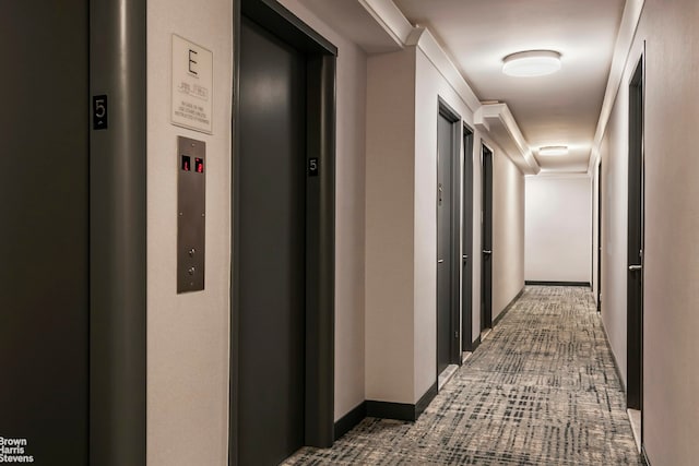 430 W 34th St Unit Lh, New York City, NY 10001 - hallway featuring carpet and elevator